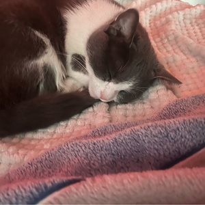 Meet your Posher, Jay